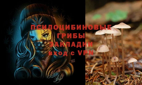 Альфа ПВП Абаза